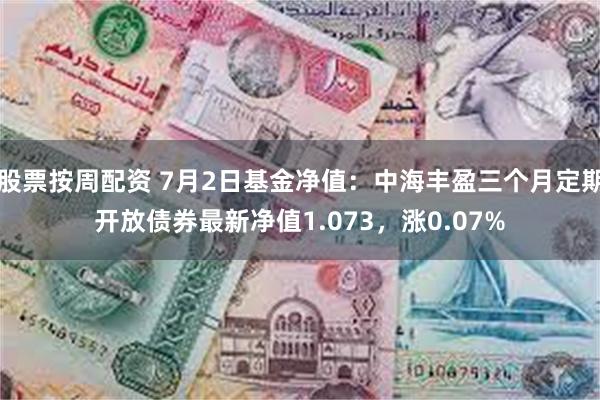股票按周配资 7月2日基金净值:中海丰盈三个月定期开放债券最新净值1.073,涨0.07%