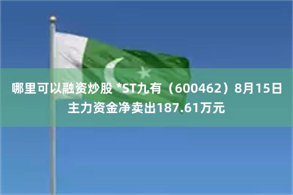 哪里可以融资炒股 *ST九有（600462）8月15日主力资金净卖出187.61万元