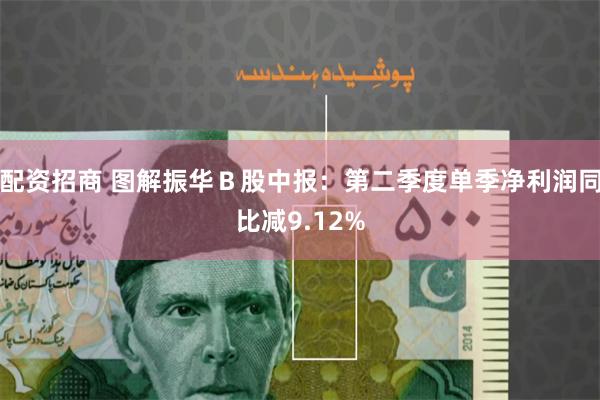 配资招商 图解振华B股中报:第二季度单季净利润同比减9.12%