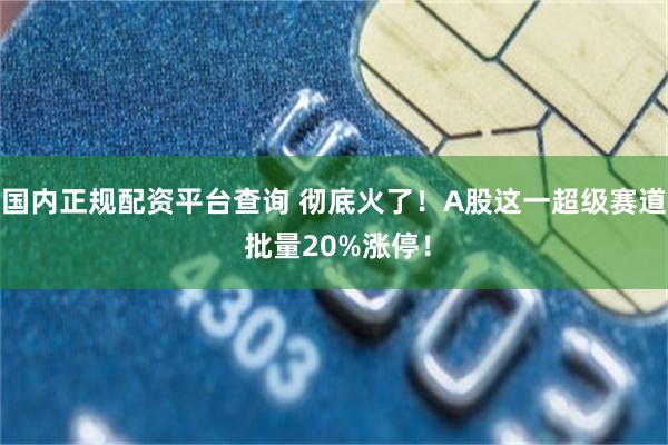 国内正规配资平台查询 彻底火了！A股这一超级赛道 批量20%涨停！