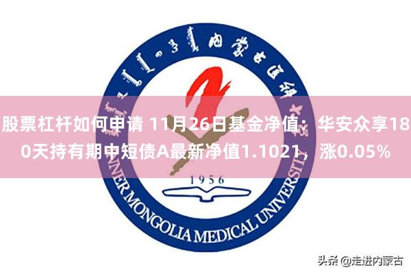 股票杠杆如何申请 11月26日基金净值：华安众享180天持有期中短债A最新净值1.1021，涨0.05%