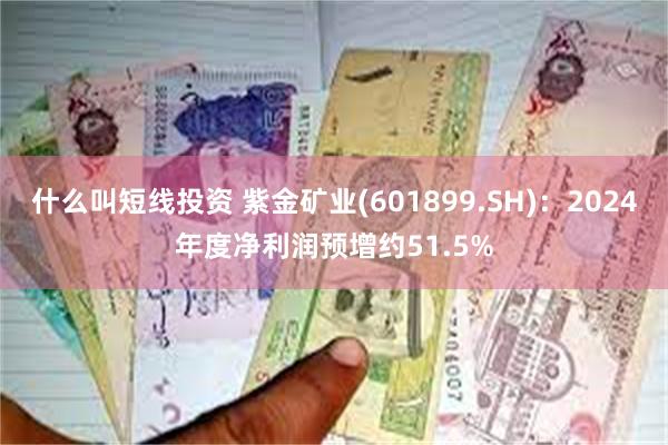 什么叫短线投资 紫金矿业(601899.SH):2024年度净利润预增约51.5%