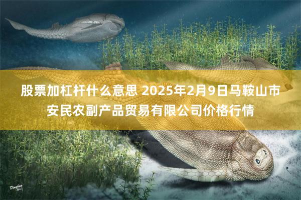 股票加杠杆什么意思 2025年2月9日马鞍山市安民农副产品贸易有限公司价格行情