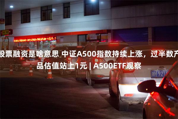 股票融资是啥意思 中证A500指数持续上涨，过半数产品估值站上1元 | A500ETF观察
