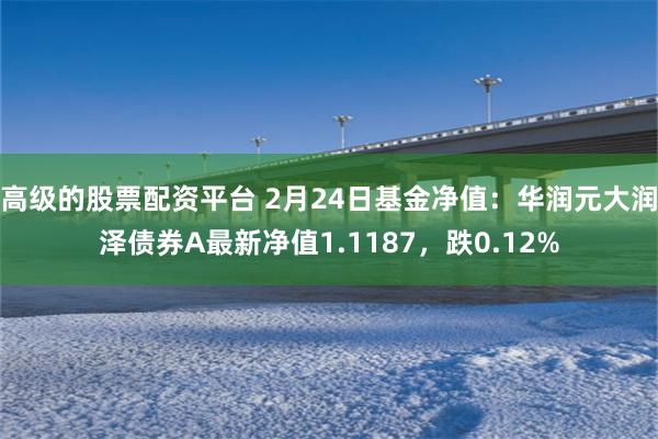 高级的股票配资平台 2月24日基金净值:华润元大润泽债券A最新净值1.1187,跌0.12%