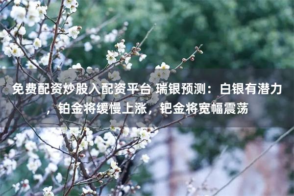 免费配资炒股入配资平台 瑞银预测：白银有潜力，铂金将缓慢上涨，钯金将宽幅震荡