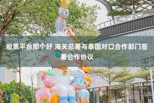 股票平台那个好 海关总署与泰国对口合作部门签署合作协议