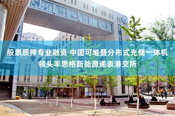 股票质押专业融资 中国可堆叠分布式光储一体机领头羊思格新能源递表港交所