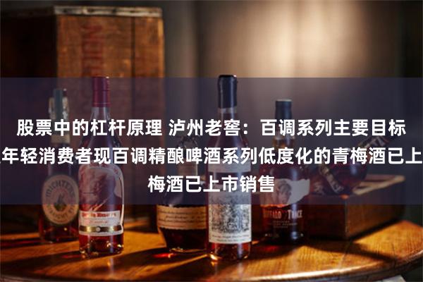 股票中的杠杆原理 泸州老窖：百调系列主要目标群体是年轻消费者现百调精酿啤酒系列低度化的青梅酒已上市销售