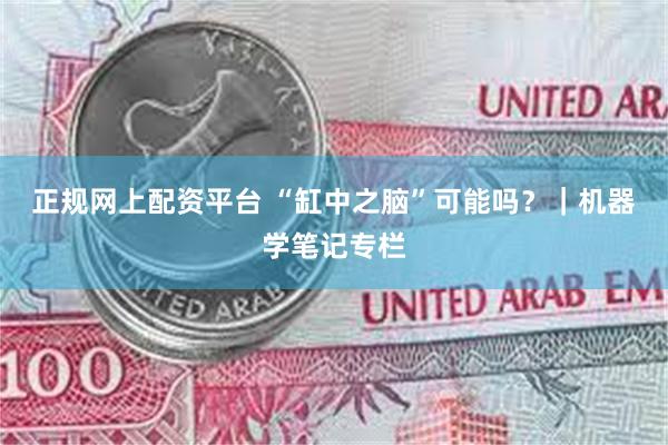 正规网上配资平台 “缸中之脑”可能吗？｜机器学笔记专栏