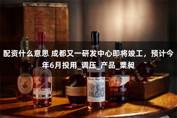 配资什么意思 成都又一研发中心即将竣工,预计今年6月投用_调压_产品_粟昶