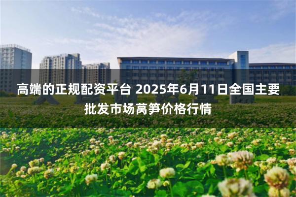 高端的正规配资平台 2025年6月11日全国主要批发市场莴笋价格行情