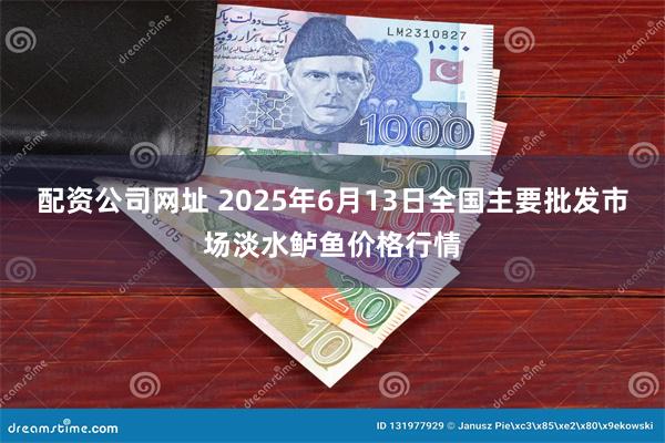 配资公司网址 2025年6月13日全国主要批发市场淡水鲈鱼价格行情