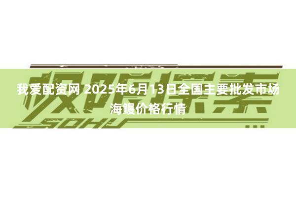 我爱配资网 2025年6月13日全国主要批发市场海鳗价格行情