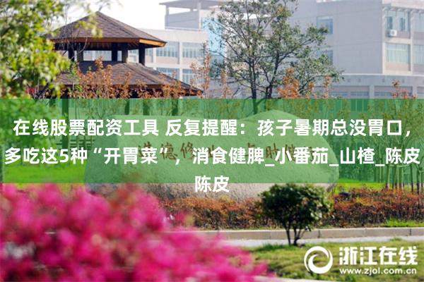 在线股票配资工具 反复提醒：孩子暑期总没胃口，多吃这5种“开胃菜”，消食健脾_小番茄_山楂_陈皮