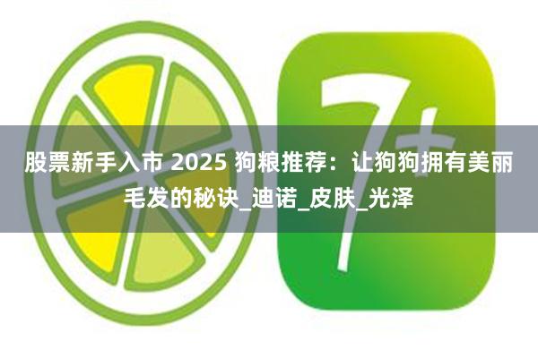 股票新手入市 2025 狗粮推荐:让狗狗拥有美丽毛发的秘诀_迪诺_皮肤_光泽