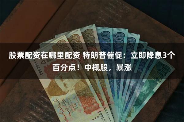 股票配资在哪里配资 特朗普催促：立即降息3个百分点！中概股，暴涨