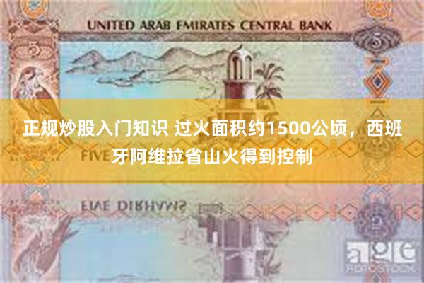 正规炒股入门知识 过火面积约1500公顷，西班牙阿维拉省山火得到控制