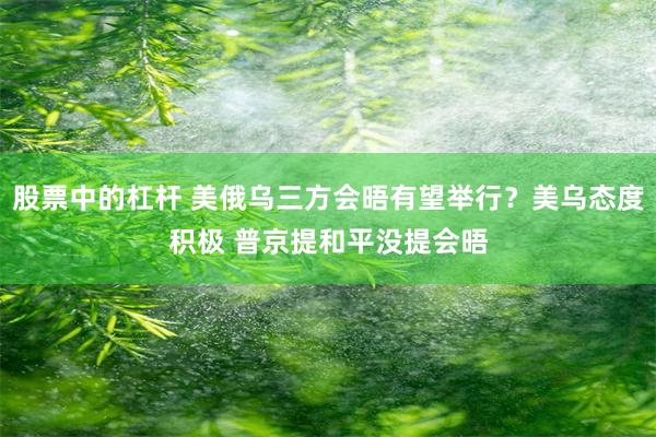 股票中的杠杆 美俄乌三方会晤有望举行？美乌态度积极 普京提和平没提会晤