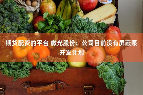 期货配资的平台 微光股份：公司目前没有屏蔽泵开发计划